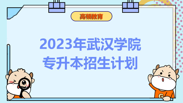 2023年武汉学院专升本招生计划：共计978人
