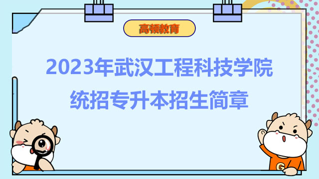 2023年武汉工程科技学院统招专升本招生简章