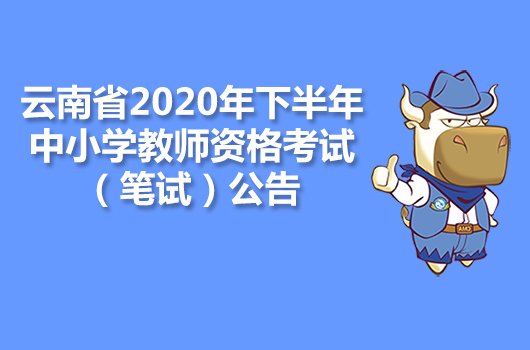 云南省2020年下半年中小学教师资格考试（笔试）公告