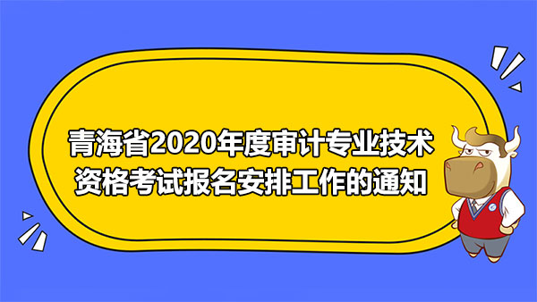 青海省2020年度审计专业技术资格考试报名安排工作的通知