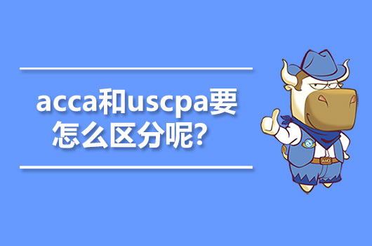 acca和uscpa要怎么区分呢？