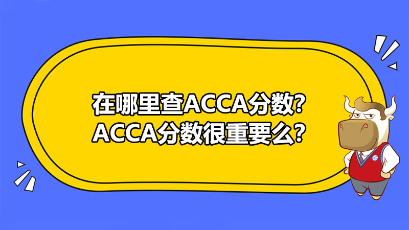 在哪里查ACCA分数？ACCA分数很重要么？