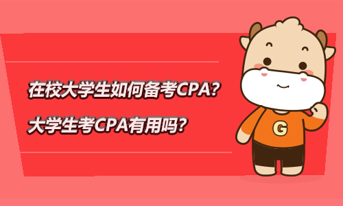 在校大学生如何备考CPA？大学生考CPA有用吗？
