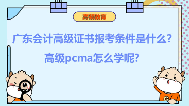 廣東會計高級證書報考條件是什麼？高級pcma怎麼學呢？