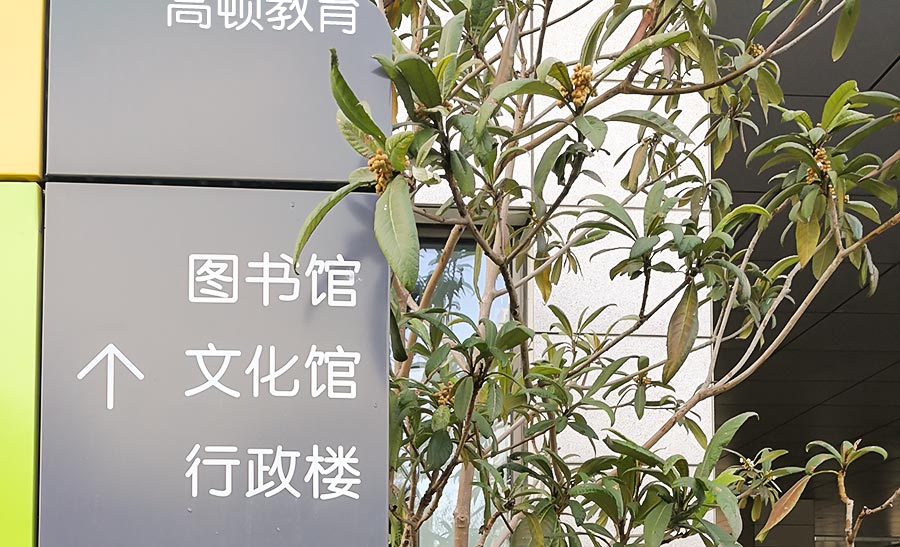 5分钟轻松读懂:小白如何投资指数基金?