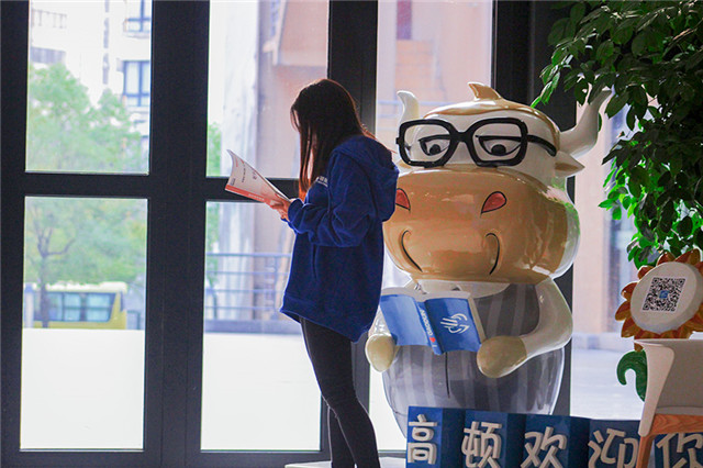税务师免试申请流程是什么样的?什么时候申请?