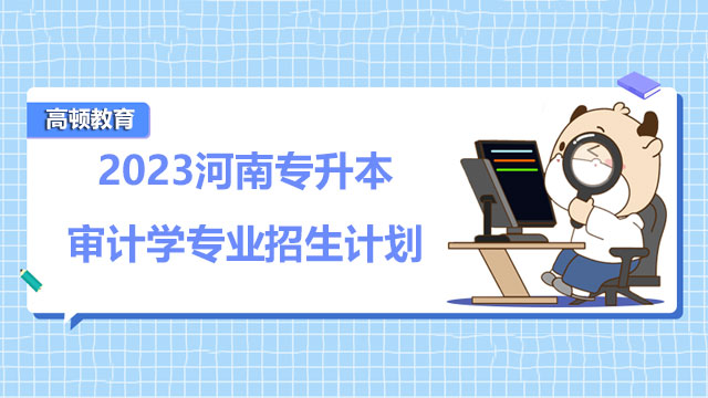河南专升本审计学专业招生计划