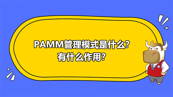 PAMM管理模式是什么？有什么作用？