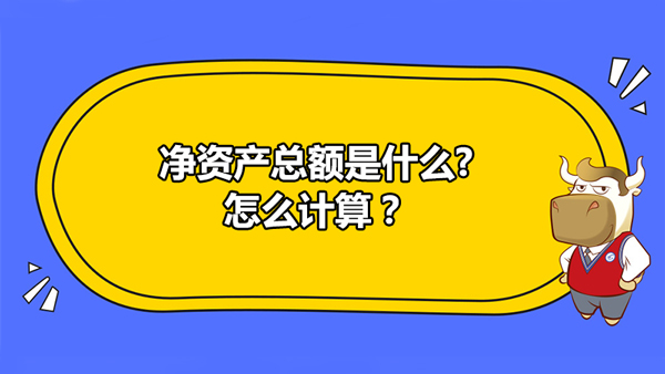 净资产总额是什么?怎么计算？