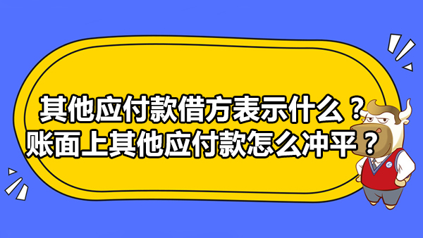 其他應(yīng)付款借方表示什么？賬面上其他應(yīng)付款怎么沖平？