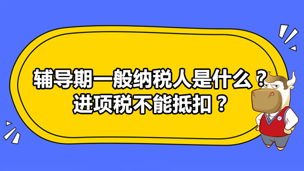 辅导期一般纳税人是什么？进项税不能抵扣？