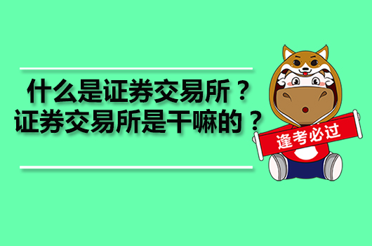 什么是證券交易所？證券交易所是干嘛的？