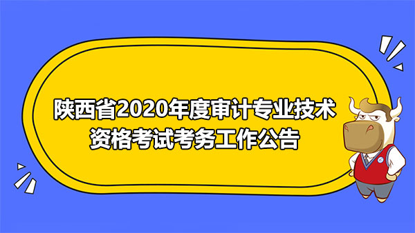 陜西省2020年審計(jì)專業(yè)技術(shù)資格考試