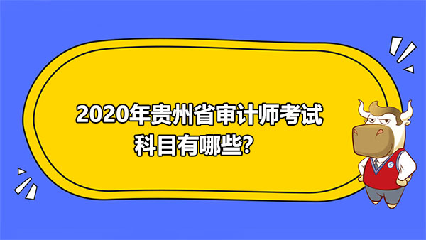 2020年貴州省審計師考試科目有哪些？是什么題型？