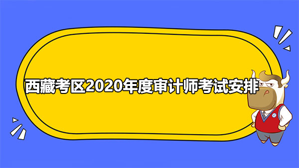 西藏考區(qū)審計師報名時間