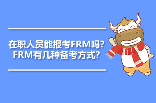 FRM備考方式