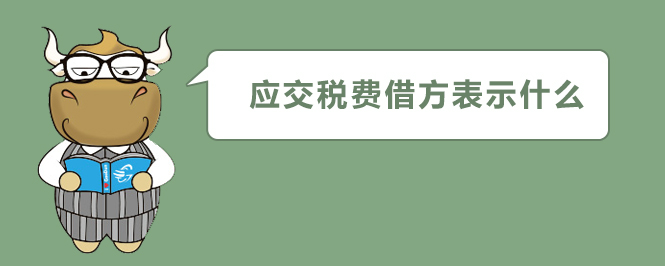 應(yīng)交稅費(fèi)借方表示什么