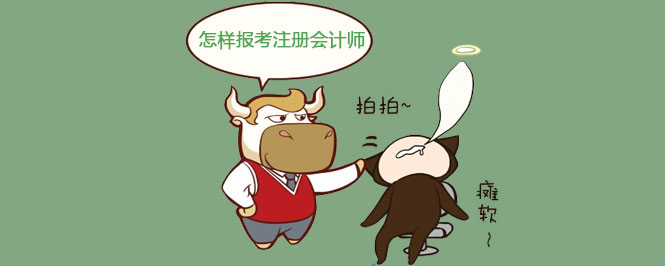 怎样报考注册会计师