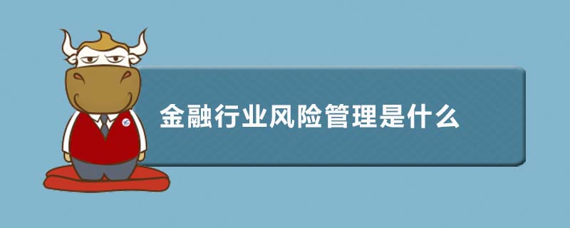 金融行業(yè)風(fēng)險管理