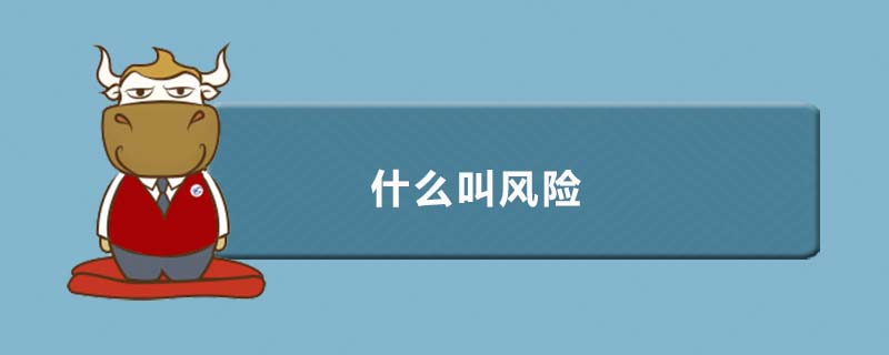 什么叫風(fēng)險