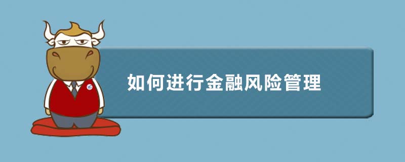 如何進(jìn)行金融風(fēng)險(xiǎn)管理