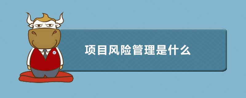 项目风险管理是什么