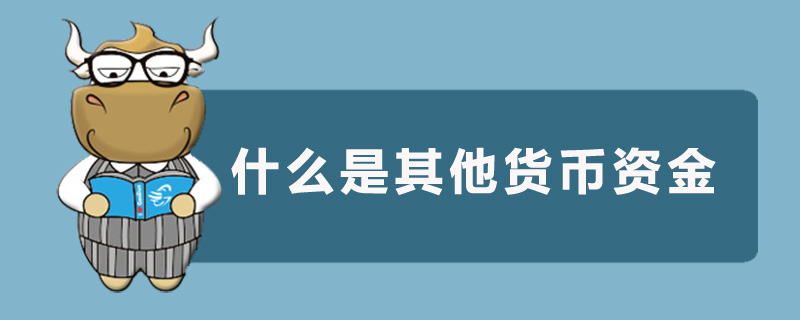 什么是其他貨幣資金