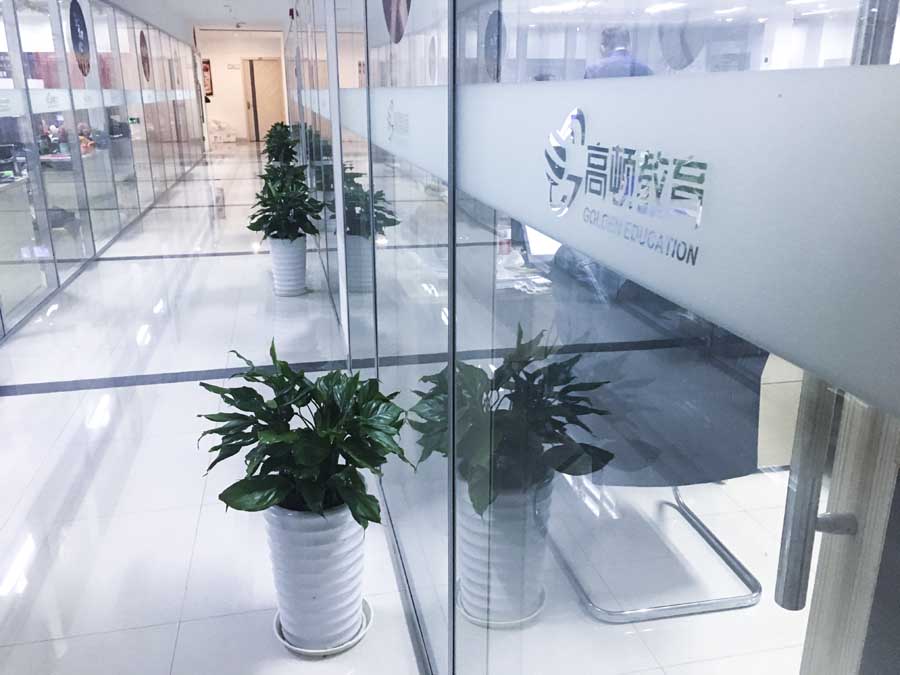 <b>税务师、中级会计职称两门考试同时备考，财税双证拿到手！</b>