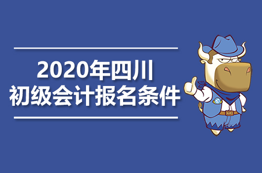 四川初级会计官网登录入口_四川财政会计网网址变更_四川会计网