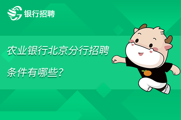 農(nóng)業(yè)銀行北京分行招聘條件有哪些？對英語四六級有要求嗎？