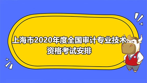 上海市2020年度全國審計專業(yè)技術資格考試安排