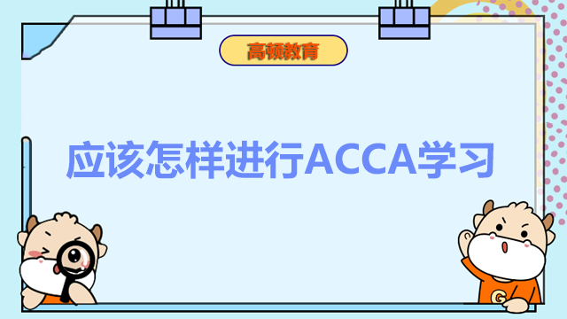 ACCA新手看过来！应该怎样进行ACCA学习？