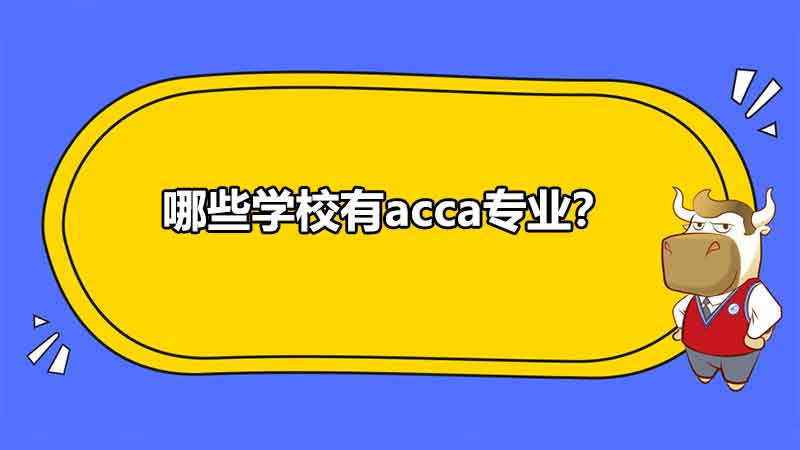 哪些学校有acca专业？