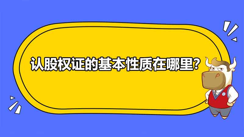 认股权证的基本性质在哪里？