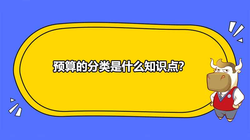 预算的分类是什么知识点？