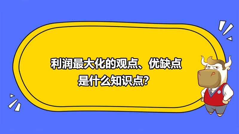 利润最大化的观点、优缺点是什么知识点？