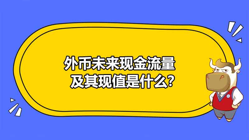 外幣未來現(xiàn)金流量及其現(xiàn)值是什么？