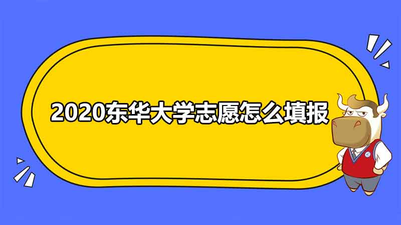 2020东华大学志愿怎么填报