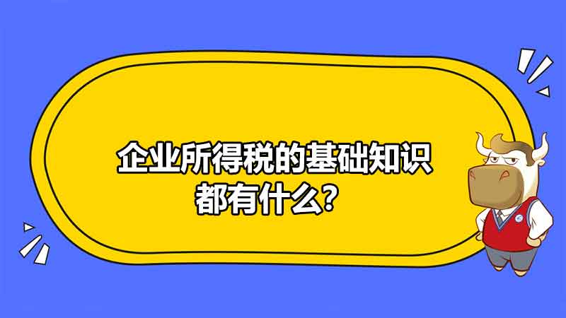 企業(yè)所得稅的基礎(chǔ)知識都有什么？