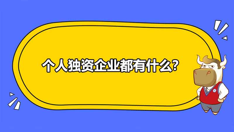 個(gè)人獨(dú)資企業(yè)都有什么？