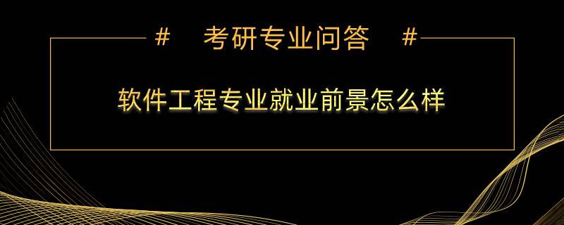 軟件工程專業(yè)就業(yè)前景怎么樣？