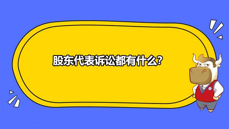 股东代表诉讼都有什么？