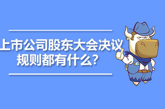 上市公司股東大會(huì)決議規(guī)則都有什么？