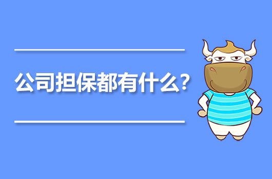 公司担保都有什么？