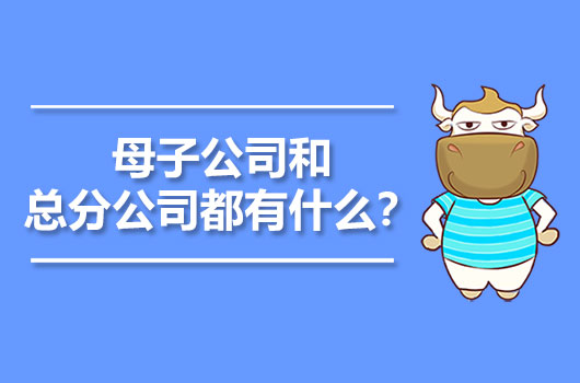 母子公司和總分公司都有什么？