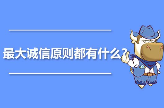 最大诚信原则都有什么？