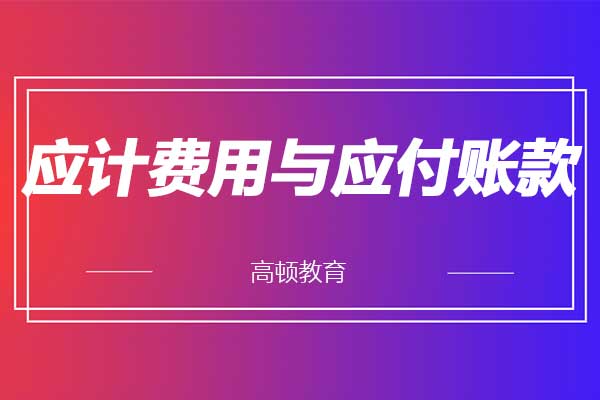 應(yīng)計費用與應(yīng)付賬款