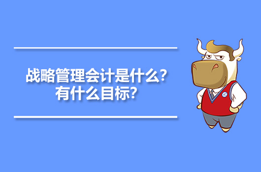 战略管理会计是什么？有什么目标？