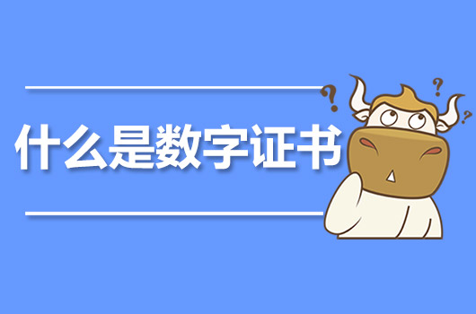 什么是数字证书