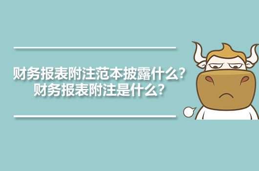 財務(wù)報表附注范本披露什么？財務(wù)報表附注是什么？